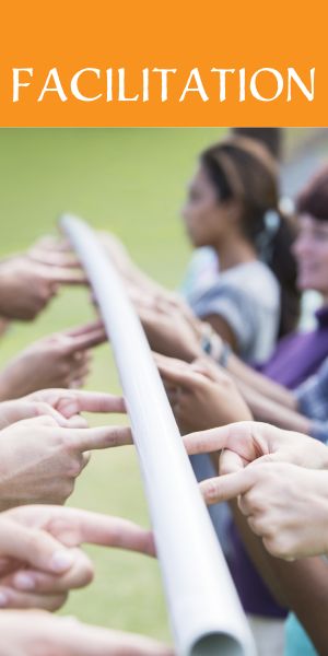 Facilitation for Non-Profit Organizations with Xanthus Consulting